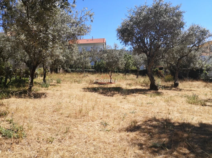 Terreno para Venda em Seia, São Romão e Lapa dos Dinheiros Foto 2