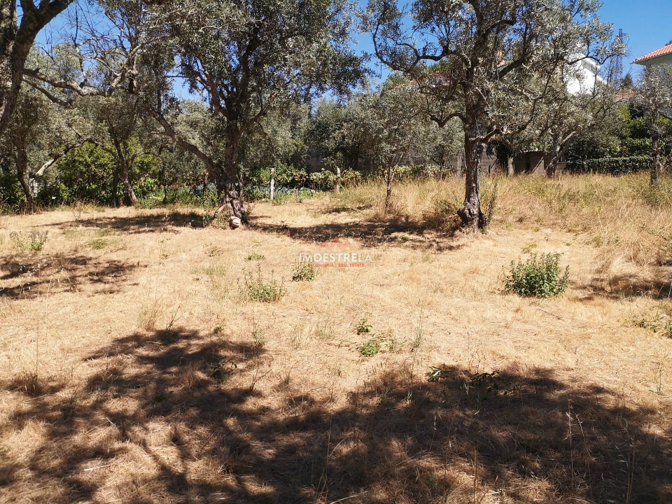Terreno para Venda em Seia, São Romão e Lapa dos Dinheiros Foto 5