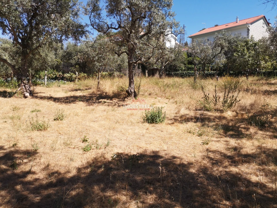 Terreno para Venda em Seia, São Romão e Lapa dos Dinheiros Foto 4