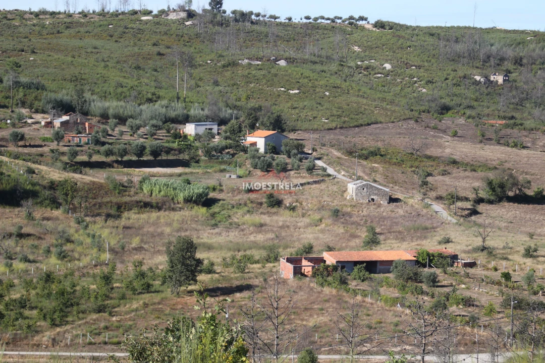 Quinta T0 para Venda em Nogueira do Cravo Foto 2