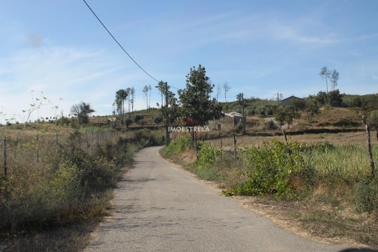 Quinta T0 para Venda em Nogueira do Cravo Foto 4