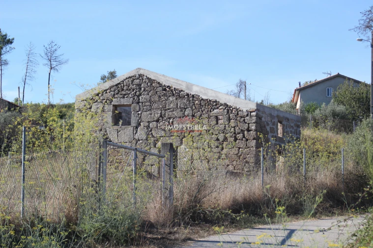 Quinta T0 para Venda em Nogueira do Cravo Foto 9