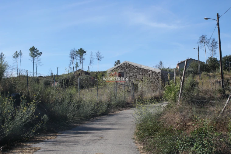 Quinta T0 para Venda em Nogueira do Cravo Foto 5
