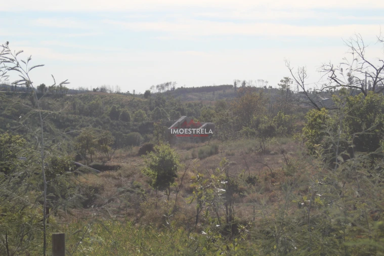 Quinta T0 para Venda em Nogueira do Cravo Foto 11