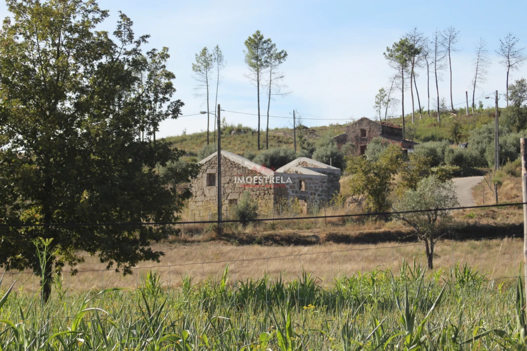 Quinta T0 para Venda em Nogueira do Cravo Foto 10
