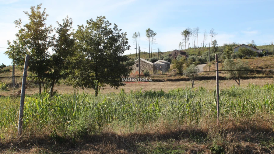 Quinta T0 para Venda em Nogueira do Cravo