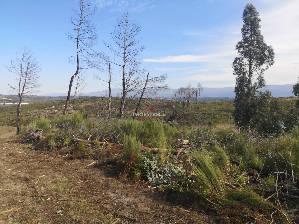 Terreno Agricola ou Rústico para Venda em Paranhos Foto 1