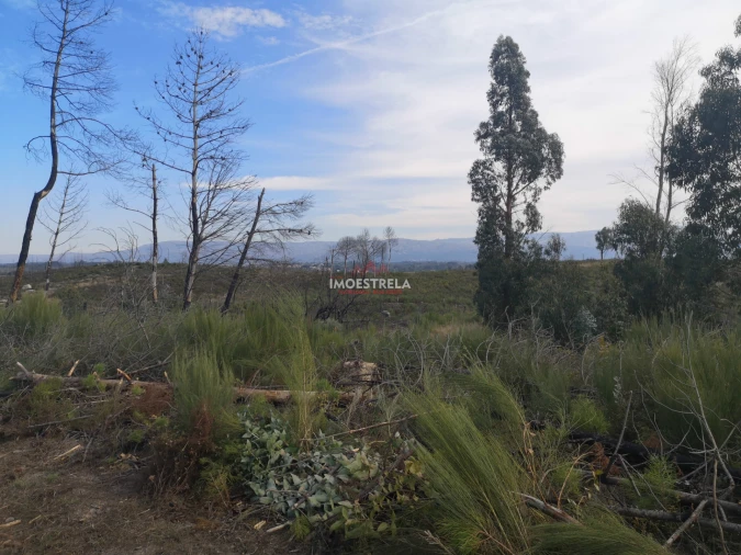 Terreno Agricola ou Rústico para Venda em Paranhos Foto 4