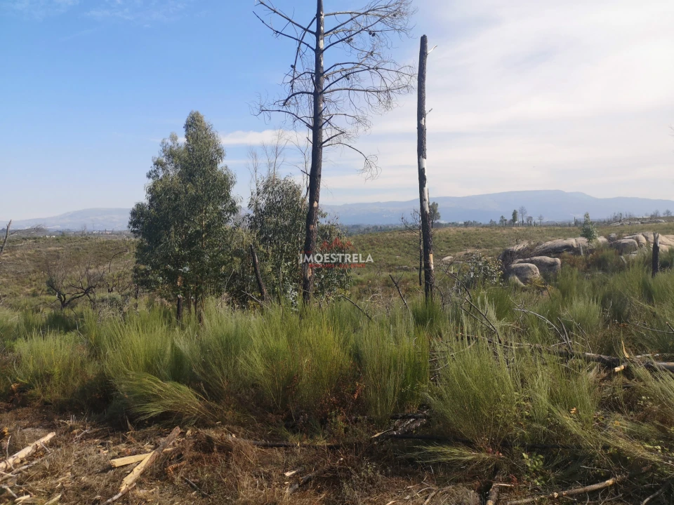 Terreno Agricola ou Rústico para Venda em Paranhos Foto 2
