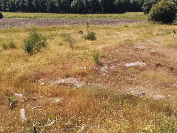 Terreno para Venda em Pinhanços Foto 1