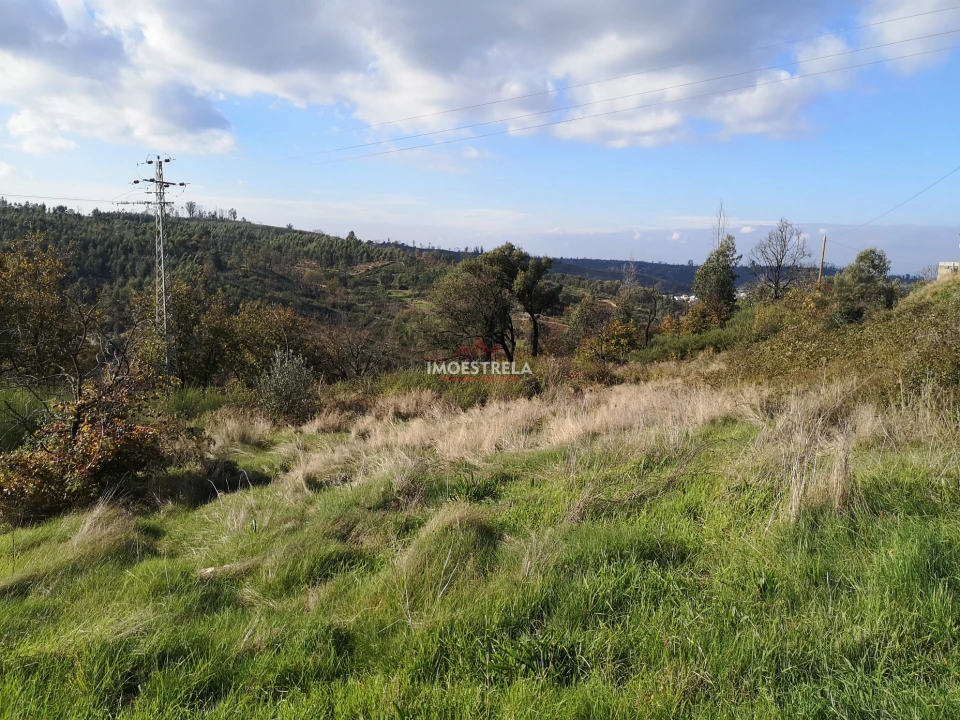 Terreno para Venda em Torrozelo e Folhadosa Foto 5