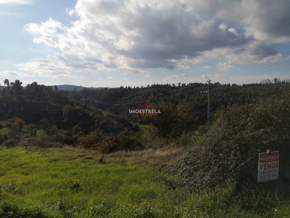 Terreno para Venda em Torrozelo e Folhadosa Foto 3