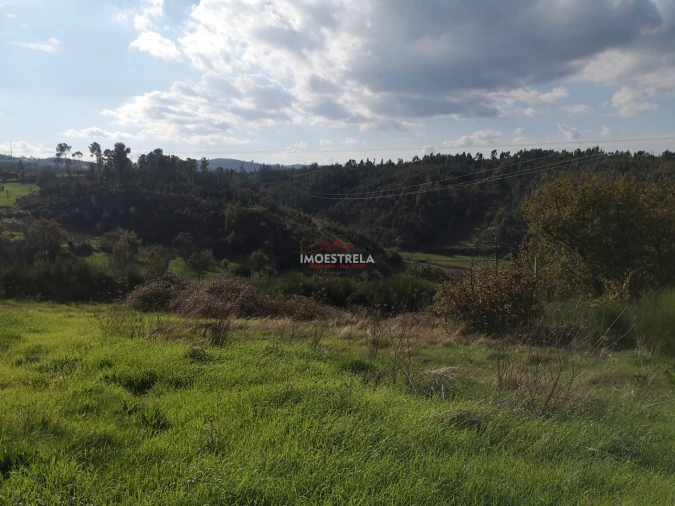 Terreno para Venda em Torrozelo e Folhadosa Foto 6