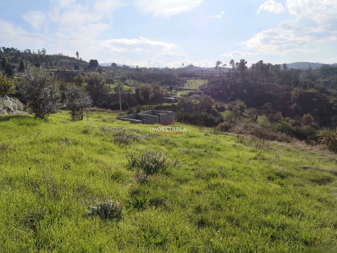 Terreno para Venda em Torrozelo e Folhadosa Foto 4