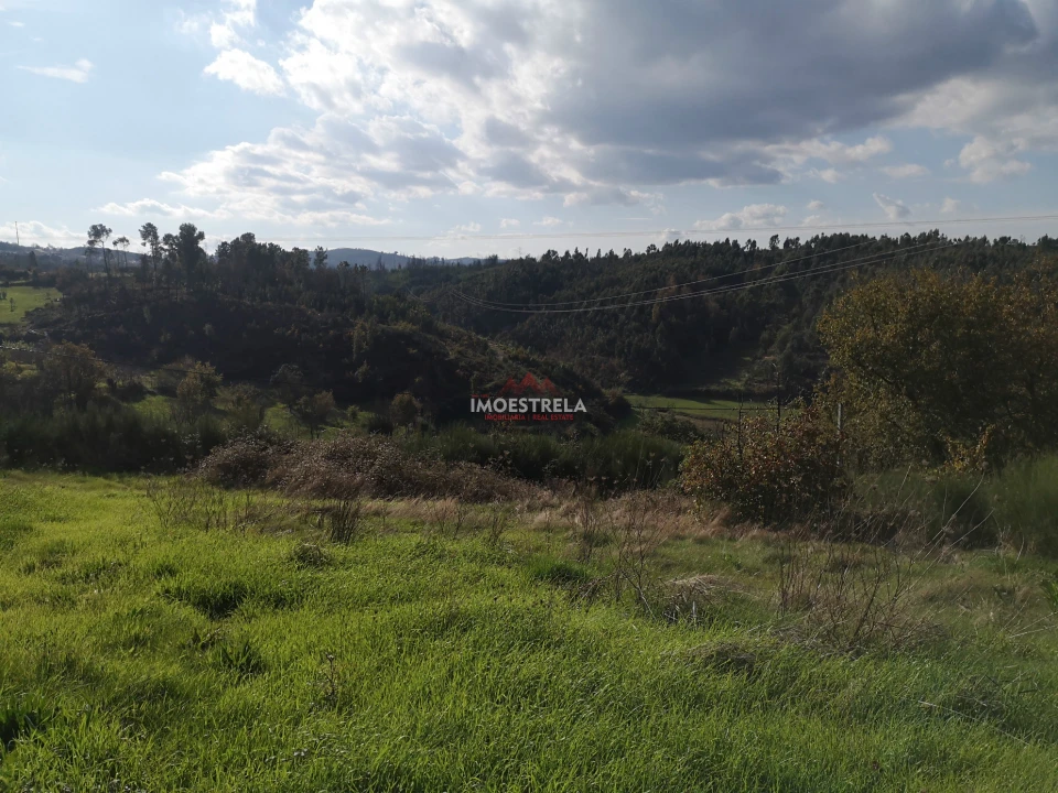 Terreno para Venda em Torrozelo e Folhadosa Foto 6