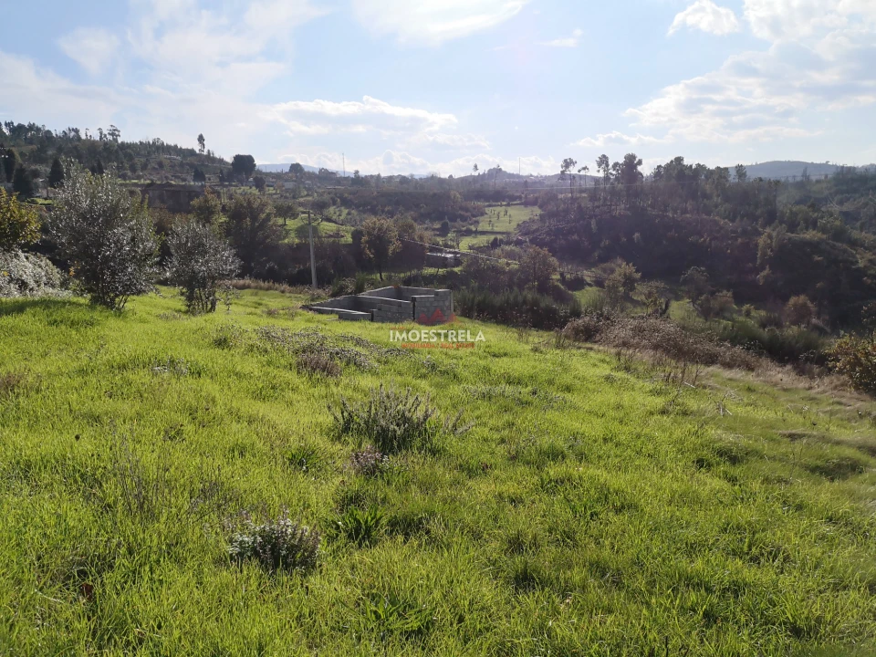 Terreno para Venda em Torrozelo e Folhadosa Foto 4