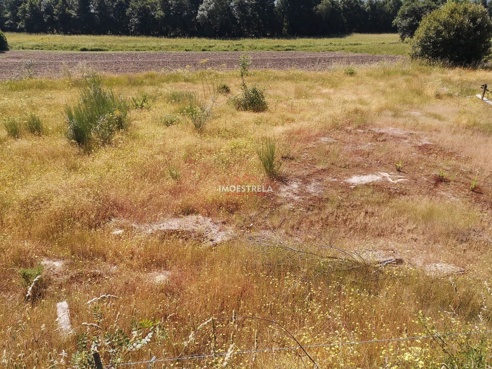 Terreno para Venda em Pinhanços Foto 3