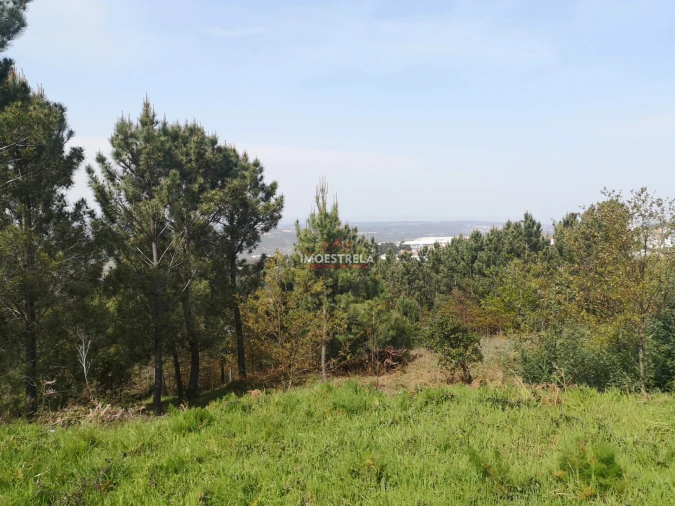 Terreno para Venda em Seia, São Romão e Lapa dos Dinheiros Foto 4