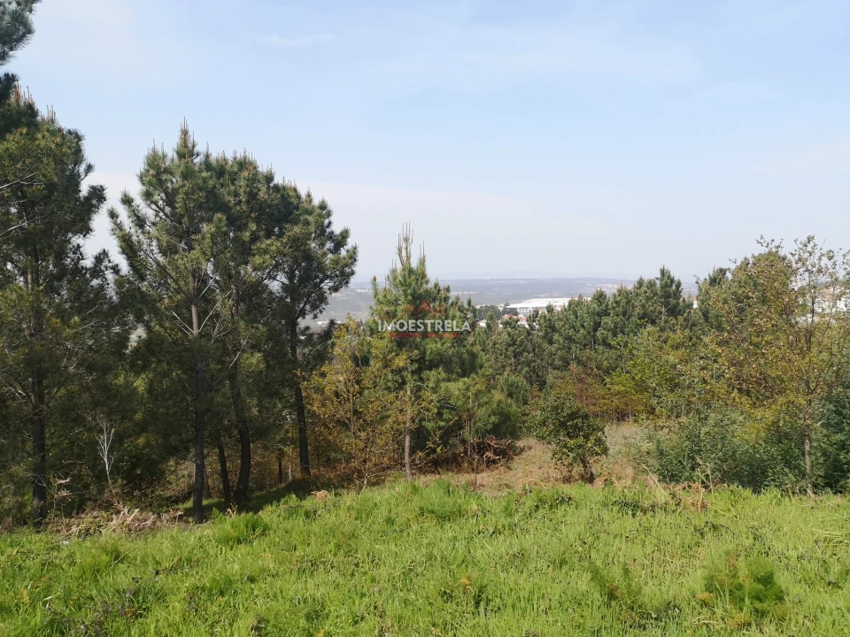 Terreno para Venda em Seia, São Romão e Lapa dos Dinheiros Foto 4