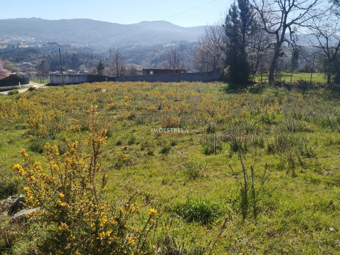Terreno para Venda em Santiago Foto 3