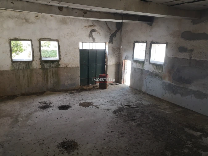 Armazém para Venda em Tourais e Lajes Foto 8