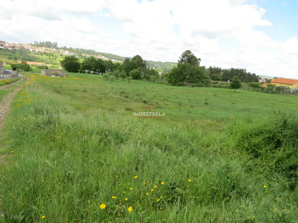 Terreno para Venda em Seia, São Romão e Lapa dos Dinheiros Foto 9