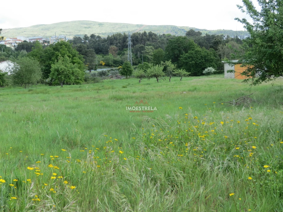 Terreno para Venda em Seia, São Romão e Lapa dos Dinheiros Foto 7