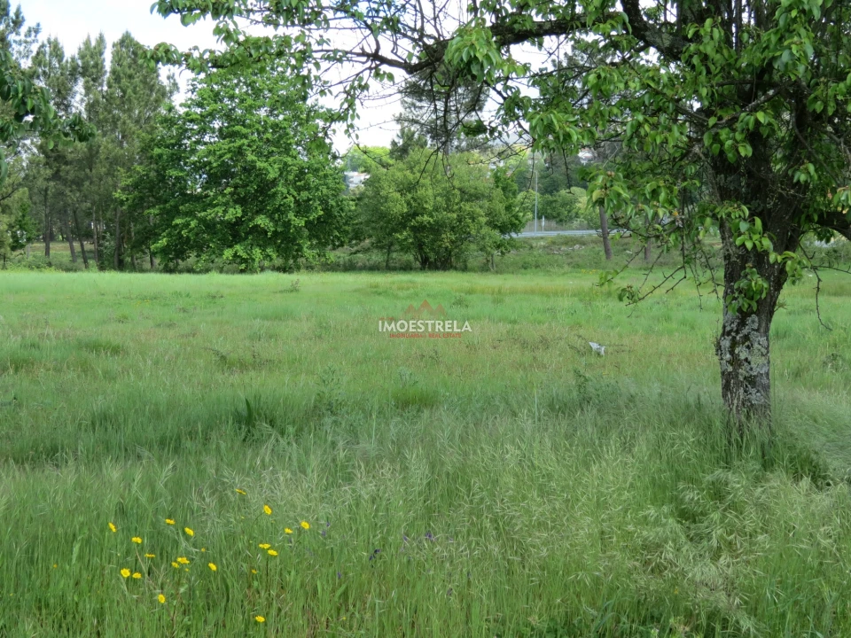 Terreno para Venda em Seia, São Romão e Lapa dos Dinheiros Foto 6