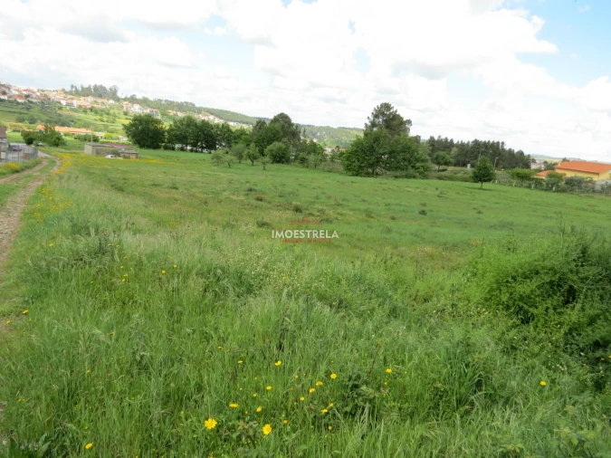 Terreno para Venda em Seia, São Romão e Lapa dos Dinheiros Foto 9