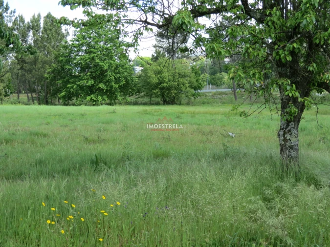 Terreno para Venda em Seia, São Romão e Lapa dos Dinheiros Foto 6