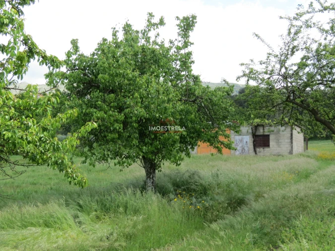 Terreno para Venda em Seia, São Romão e Lapa dos Dinheiros Foto 5