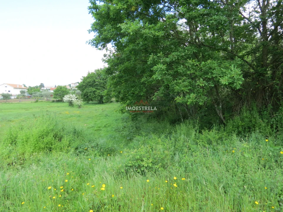 Terreno para Venda em Seia, São Romão e Lapa dos Dinheiros Foto 8