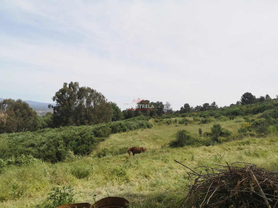 Quinta T5 para Venda em Melo e Nabais Foto 20