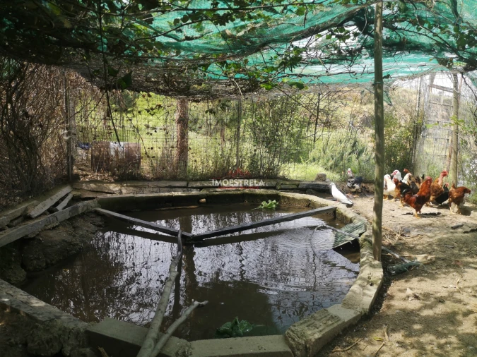 Quinta T5 para Venda em Melo e Nabais Foto 6