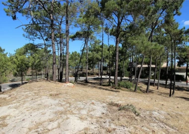 Terreno para Venda em Grândola e Santa Margarida da Serra