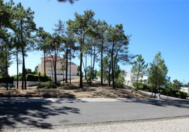 Terreno para Venda em Grândola e Santa Margarida da Serra