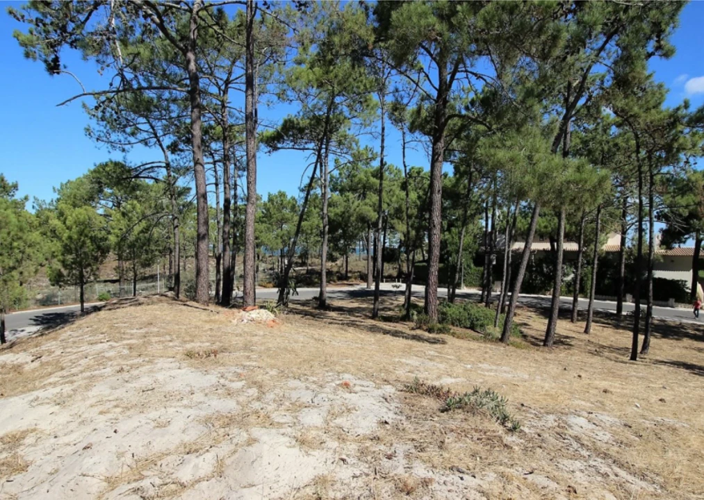 Terreno para Venda em Grândola e Santa Margarida da Serra Foto 3
