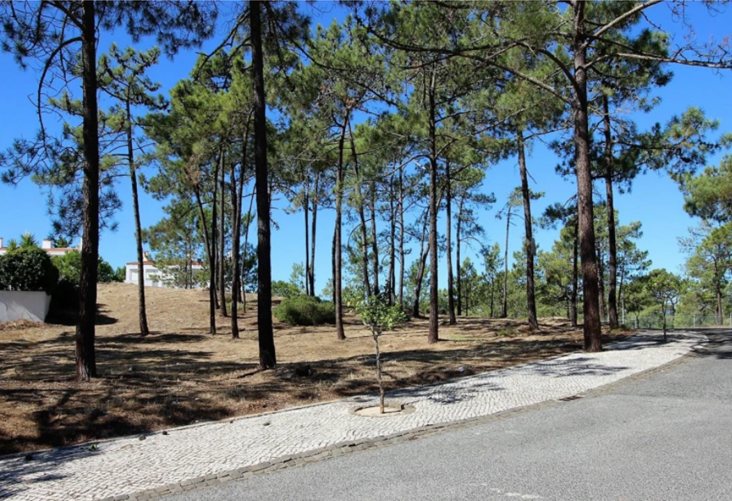 Terreno para Venda em Grândola e Santa Margarida da Serra Foto 2