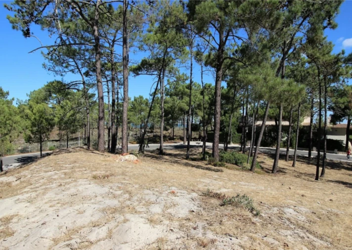 Terreno para Venda em Grândola e Santa Margarida da Serra Foto 3