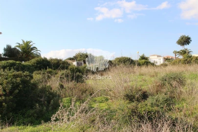 Terreno para Venda em Lagoa e Carvoeiro