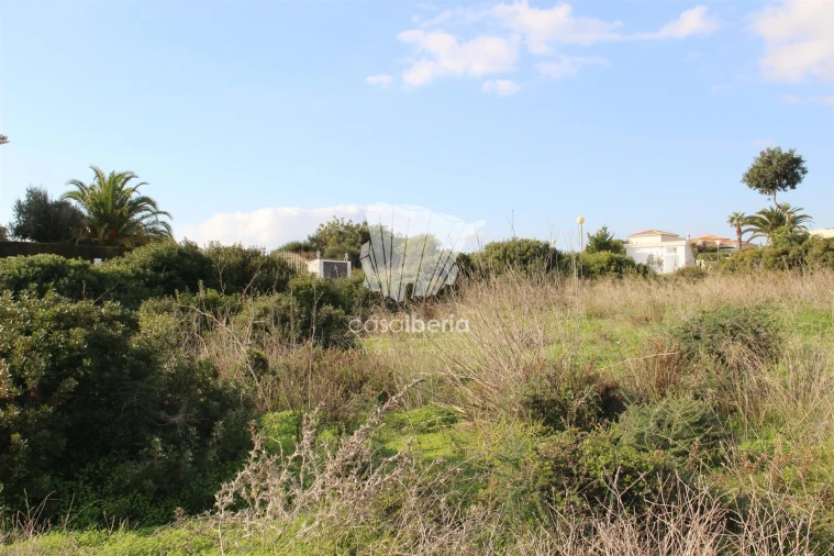 Terreno para Venda em Lagoa e Carvoeiro Foto 8