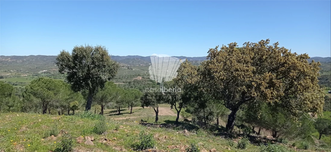 Quinta T0 para Venda em São Bartolomeu de Messines Foto 3
