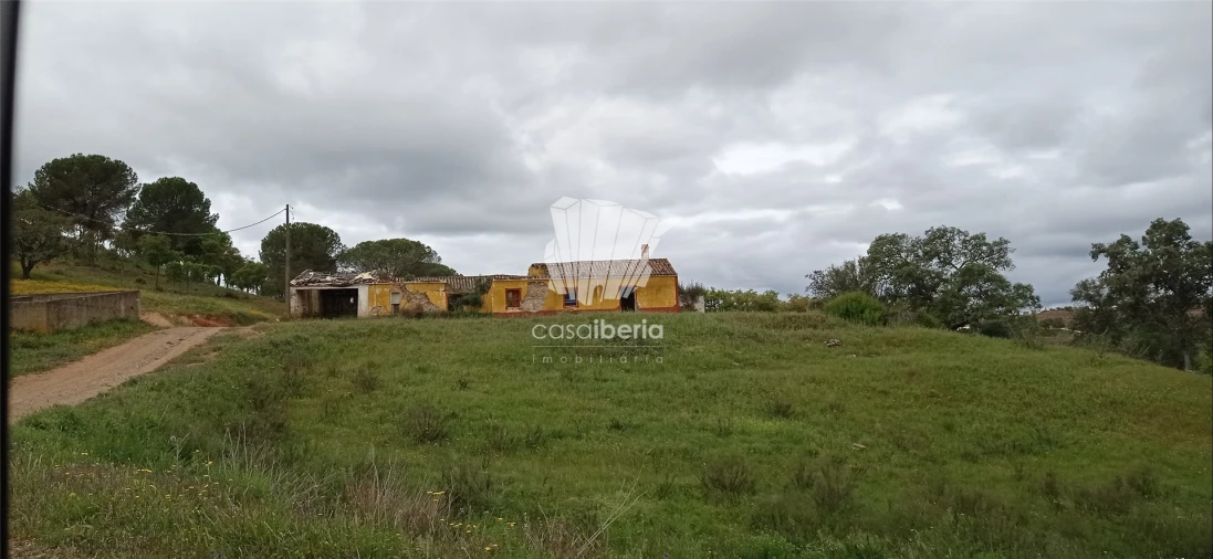 Quinta T0 para Venda em São Bartolomeu de Messines
