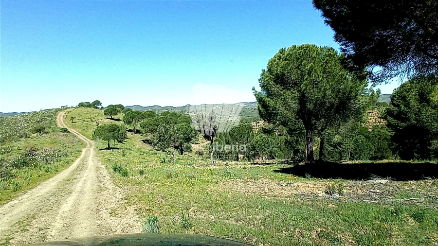 Quinta T0 para Venda em São Bartolomeu de Messines Foto 4