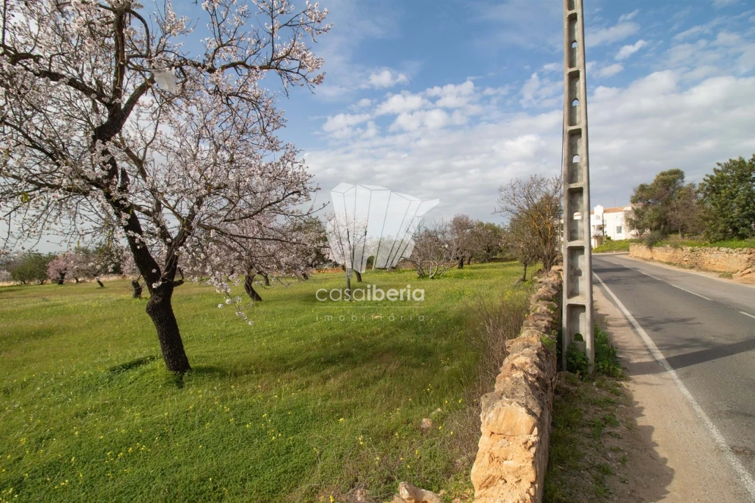 Terreno para Venda em Conceição e Estoi Foto 3