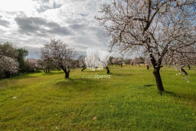 Terreno para Venda em Conceição e Estoi