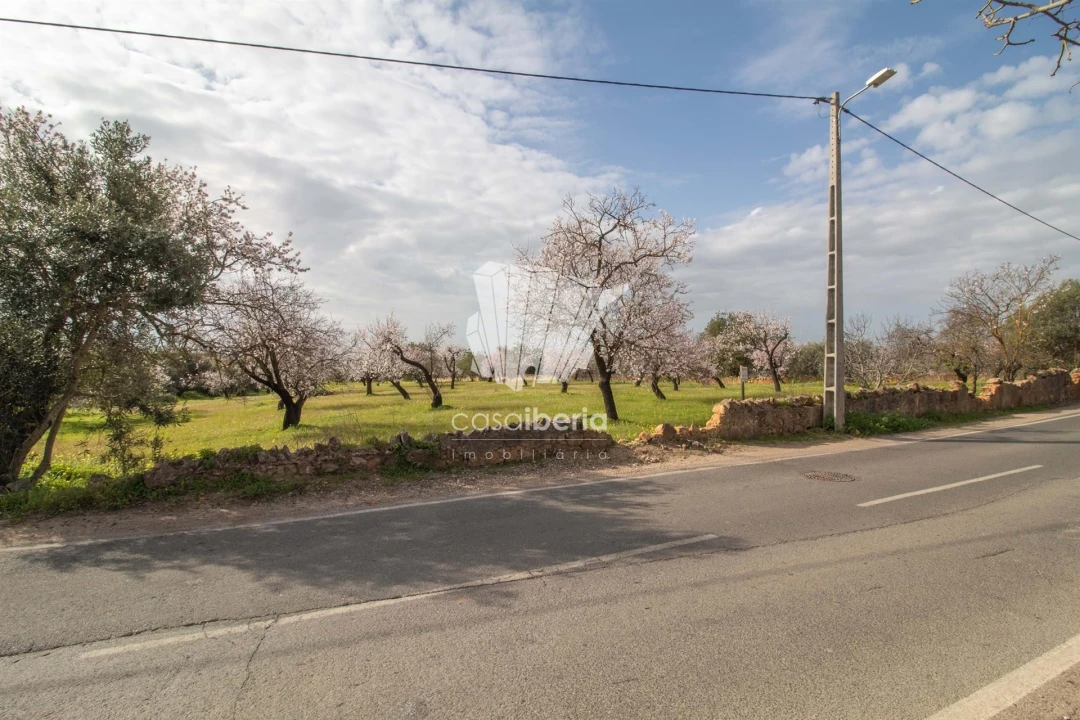 Terreno para Venda em Conceição e Estoi Foto 5