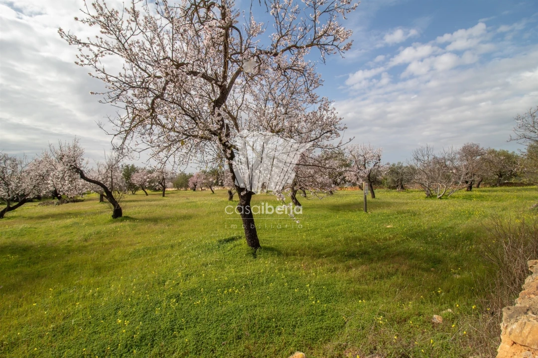 Terreno para Venda em Conceição e Estoi Foto 1