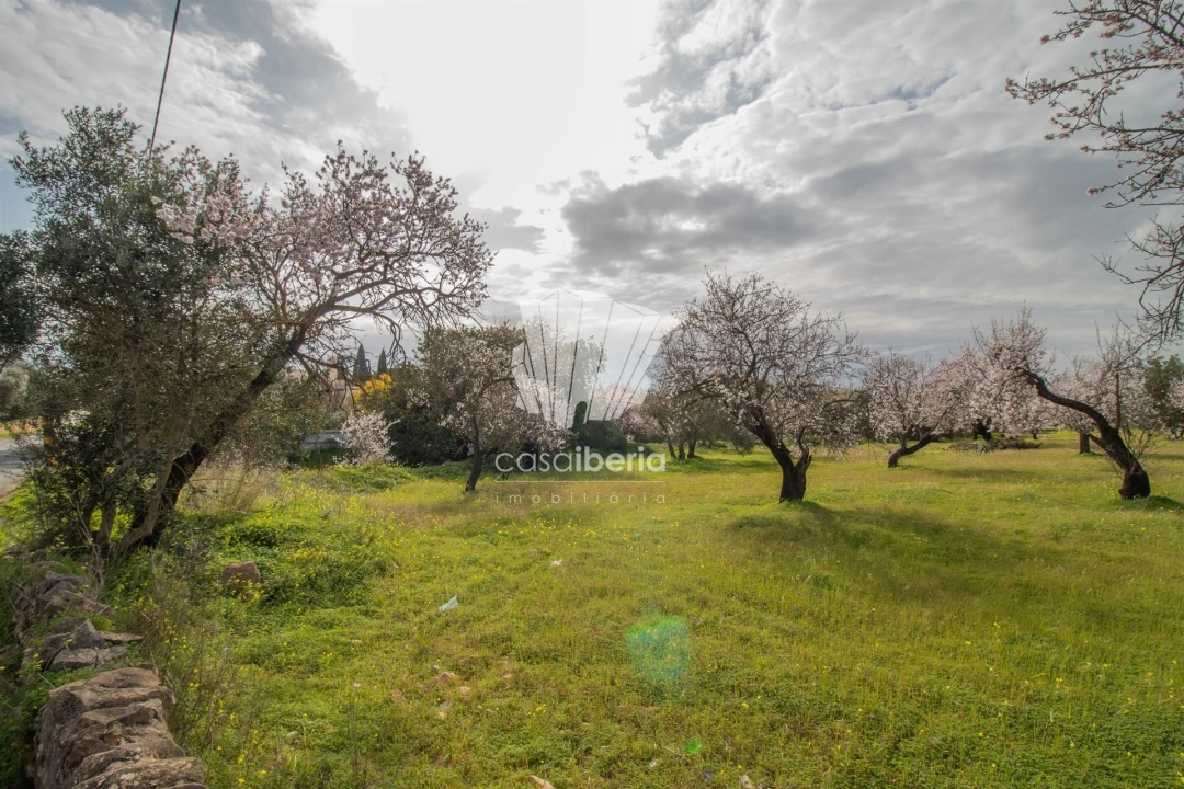 Terreno para Venda em Conceição e Estoi Foto 4