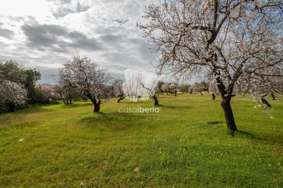 Terreno para Venda em Conceição e Estoi Foto 2